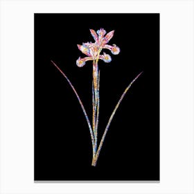 Stained Glass Spanish Iris Mosaic Botanical Illustration on Black Canvas Print