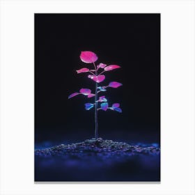 Plant In The Dark 14 Canvas Print