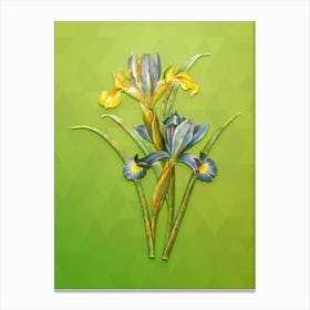 Vintage Spanish Iris Botanical Art on Love Bird Green n.0868 Canvas Print