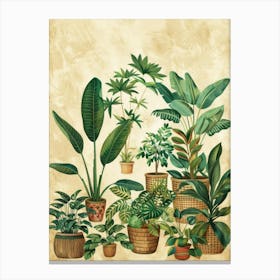 Potted Plants 5 Canvas Print