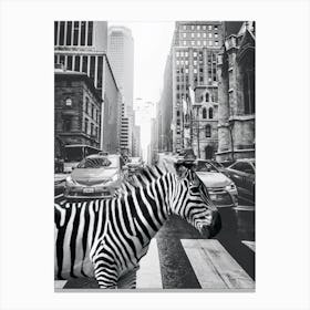Zebra In New York City Canvas Print