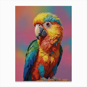 Colorful Parrot 24 Canvas Print