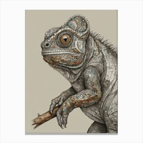 Lizard 12 Canvas Print