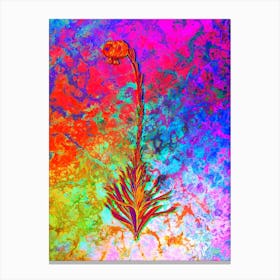 Scarlet Martagon Lily Botanical in Acid Neon Pink Green and Blue n.0154 Canvas Print