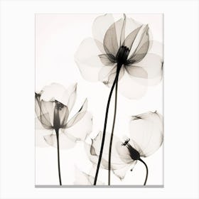 Black And White Flower Silhouette 6 Canvas Print