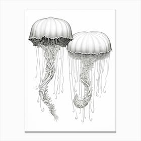 Mauve Stinger Jellyfish Drawing 1 Canvas Print