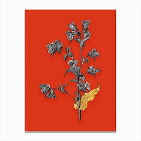 Vintage Commelina Tuberosa Black and White Gold Leaf Floral Art on Tomato Red n.0154 Canvas Print