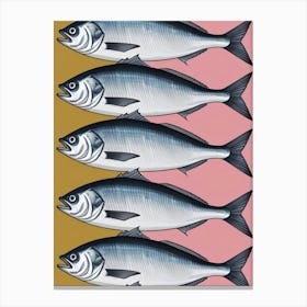 Sardines 5 Canvas Print