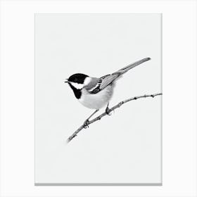 Carolina Chickadee B&W Pencil Drawing 2 Bird Canvas Print