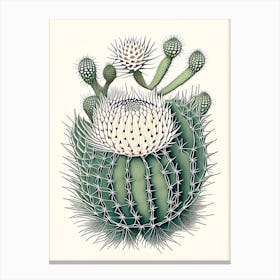 Melocactus Cactus William Morris Inspired 2 Canvas Print