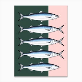 Sardines 3 Canvas Print