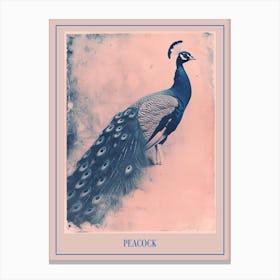 Pink & Blue Peacock Portrait 2 Poster Canvas Print