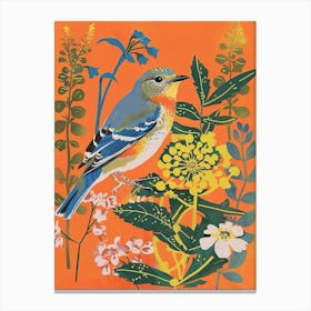 Spring Birds Eastern Bluebird 1 Canvas Print