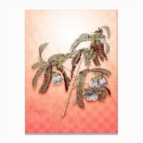 Spaendoncea Tamarandifolia Vintage Botanical in Peach Fuzz Tartan Plaid Pattern n.0161 Canvas Print