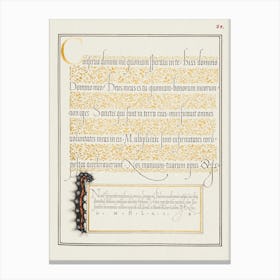 Dagger From Mira Calligraphiae Monumenta, Joris Hoefnagel Canvas Print