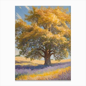 Tree In A Field 3 Canvas Print