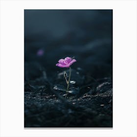 Flower In The Dark 37 Canvas Print