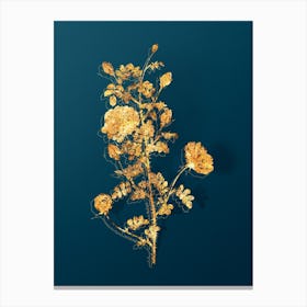 Vintage Pink Scotch Briar Rose Botanical in Gold on Teal Blue n.0312 Canvas Print