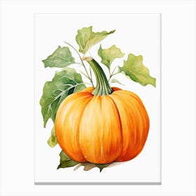 Long Island Cheese Pumpkin Watercolour Illustration 3 Canvas Print