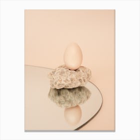 Egg On Top Of A Rock Canvas Print