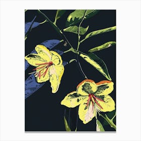 Neon Flowers On Black Bergamot 3 Canvas Print