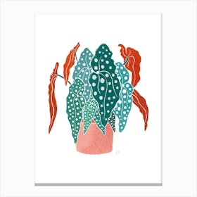 Begonia Canvas Print