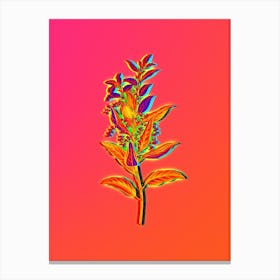 Neon Evergreen Oak Botanical in Hot Pink and Electric Blue n.0124 Canvas Print
