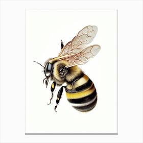Sting Bee 2 Vintage Canvas Print