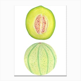 Honeydew Melon Canvas Print