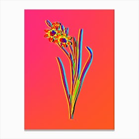 Neon Ixia Tricolor Botanical in Hot Pink and Electric Blue n.0138 Canvas Print