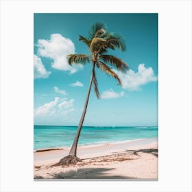 Palm Tree On The Beach Canvas Print