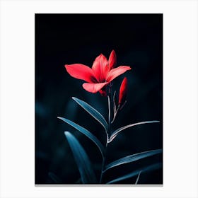 Dark Red Flower Canvas Print