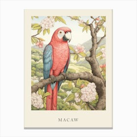 Beatrix Potter Inspired  Animal Watercolour Macaw Canvas Print