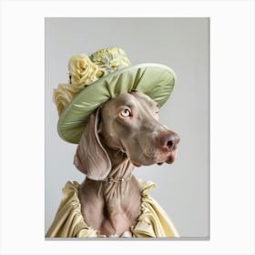 Weimaraner Canvas Print