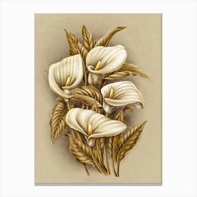 Calla Lily 3 Canvas Print