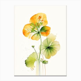 Nasturtium Herb Minimalist Watercolour Canvas Print