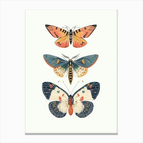 Colourful Insect Illustration Butterfly 13 Canvas Print