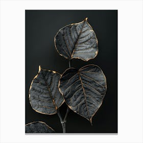 Black Leaves On A Black Background Canvas Print