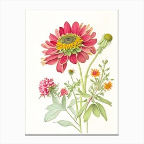 Zinnia Floral Quentin Blake Inspired Illustration 1 Flower Canvas Print