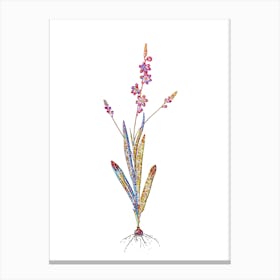 Stained Glass Ixia Scillaris Mosaic Botanical Illustration on White Canvas Print