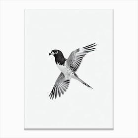 Falcon B&W Pencil Drawing 4 Bird Canvas Print