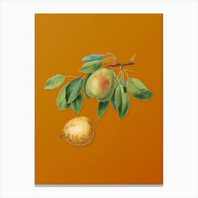 Vintage Pear Botanical on Sunset Orange n.0191 Canvas Print