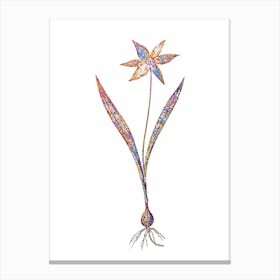 Stained Glass Tulipa Celsiana Mosaic Botanical Illustration on White Canvas Print