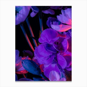 Purple Flowers 2 Canvas Print