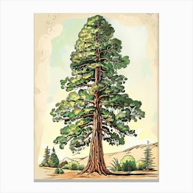 Sequoia Tree Storybook Illustration 4 Canvas Print