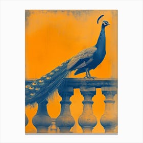 Orange & Blue Peacock On A Stone Balcony 2 Canvas Print