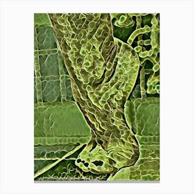 Foot In Green Canvas Print