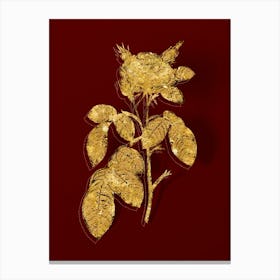Vintage Red Gallic Rose Botanical in Gold on Red n.0409 Canvas Print