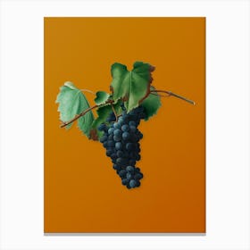 Vintage Grape Vine Botanical on Sunset Orange n.0555 Canvas Print