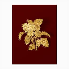 Vintage Sweet Crabapple Botanical in Gold on Red Canvas Print